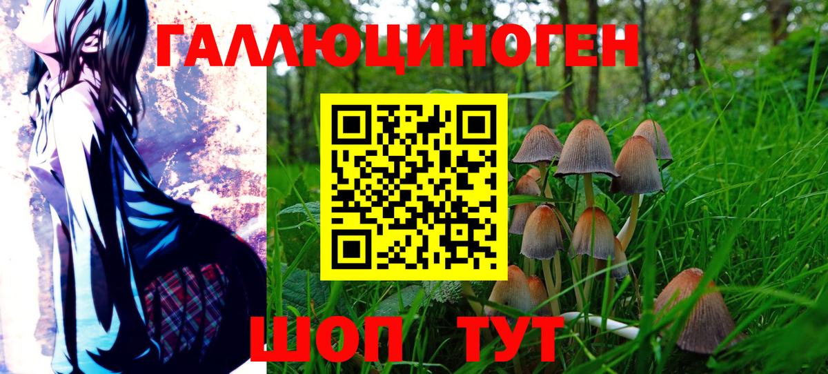Псилоцибиновые грибы Cubensis  Вход с VPN  Сарапул 